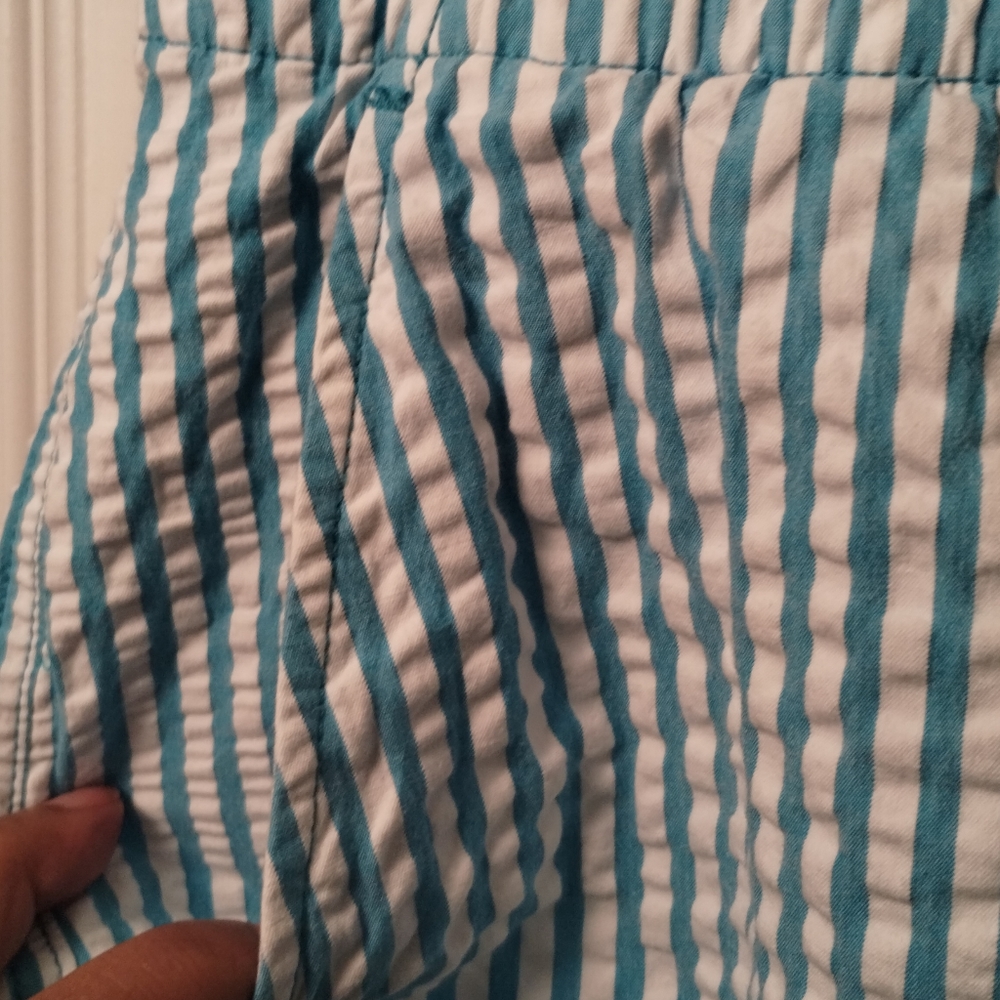 Lands' End Shorts - Picture 6 of 11
